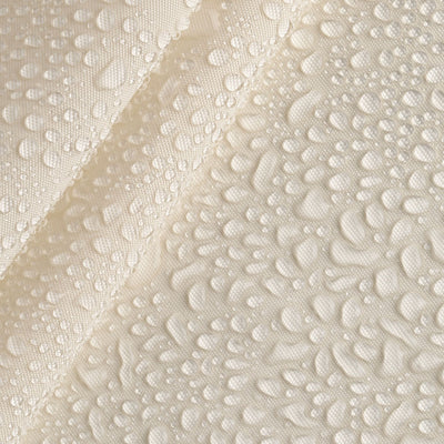 #colour_ivory